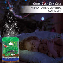 Load image into Gallery viewer, Light-Up Terrarium Kit for Kids with 5 Dinosaur Toys, STEM Educational DIY Science Project - Create Your Customized Mini Dinosaur Garden for Children - Best Gift for Boys and Girls Age 3, 4, 5, 6, 7
