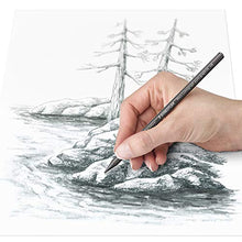 Load image into Gallery viewer, Staedtler Mars Lumograph Woodless Graphite Pencils, Water Soluble Graphite Sticks Plus Watercolor Brush, Set Of 12, 100G M12