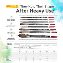 Load image into Gallery viewer, ZenART Professional Watercolor Brush Set – 14 x Birch Wood Squirrel and Synthetic Paint Brushes incl Palette Knife – Flats, Rounds, Filbert, Fan, Rigger, Cats Tongue, & Detailing – Satin Travel Pouch