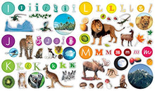 Load image into Gallery viewer, Eyelike Stickers: Letters