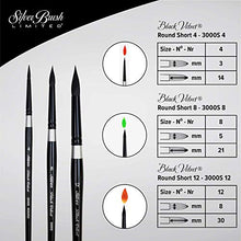 Load image into Gallery viewer, Silver Brush Limited SLM 3099 Susan Louise Moyer Basic Watercolor Brush Set, Set of 3 Black Velvet Round Brushes, Sizes 4, 8, and 12