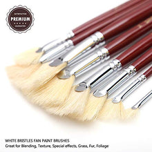 Load image into Gallery viewer, Dainayw White Bristles Fan Paint Brushes, Profession Artist Oil Acrylic Painting Brush Set, Long Handle 9 Pcs
