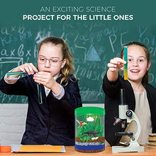 Load image into Gallery viewer, Light-Up Terrarium Kit for Kids with 5 Dinosaur Toys, STEM Educational DIY Science Project - Create Your Customized Mini Dinosaur Garden for Children - Best Gift for Boys and Girls Age 3, 4, 5, 6, 7