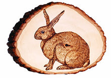 Load image into Gallery viewer, Walnut Hollow Creative Woodburning (Pyrography) Kit for the Beginner in Arts, Crafts & Hobby