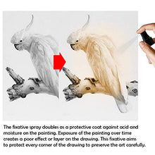 Load image into Gallery viewer, GEZICHTA Artists Fixative Spray,30ml/100ml Charcoal,Pastel,Pencil Works Transparent Fixative Spray,Prevent Smudging&Dusting,Long Lasting