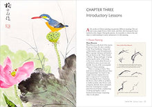 Load image into Gallery viewer, Chinese Brush Painting: A Beginner's Step-by-Step Guide