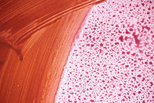 Load image into Gallery viewer, Liquitex Professional Effects Medium, 8-oz, Airbrush Medium