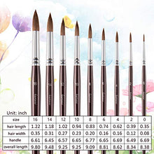 Load image into Gallery viewer, Sable Watercolor Brushes, Fuumuui 9pcs Detail to Thick Round Pointed Paint Brushes Kolinsky Superior Sable Hair Artist Brushes Perfect for Watercolor Gouache Acrylic Ink Painting