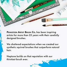 Load image into Gallery viewer, Princeton Artist Brush, Neptune Series 4750, Synthetic Squirrel Watercolor Paint Brush, Dagger Striper, Size 1/2 Inch