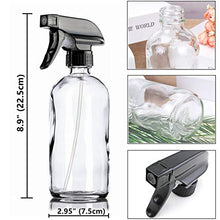 Load image into Gallery viewer, Glass Spray Bottle, Niuta 16 OZ Clear Glass Empty Spray Bottles with Labels for Plants, Pets, Essential Oils, Cleaning Products - Black Trigger Sprayer w/Mist and Stream Settings