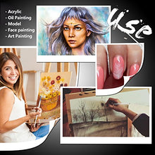 Load image into Gallery viewer, Amagic Fan Brush Set - Hog Bristle Natural Hair - Artist Soft Anti-Shedding Paint Brushes for Acrylic Watercolor Oil Painting, Long Wood Handle with Case, Set of 6