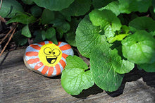 Load image into Gallery viewer, Creativity for Kids Hide & Seek Rock Painting Kit - Arts & Crafts For Kids - Includes Rocks & Waterproof Paint