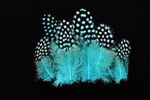 Load image into Gallery viewer, Tigofly 100 pcs/lot 11 Mixed Colors Loose Guinea Pearl Hen Feather Fowl Plumage Hackles Spotted Feathers Fly Tying Materials
