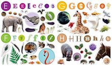 Load image into Gallery viewer, Eyelike Stickers: Letters