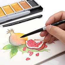 Load image into Gallery viewer, dainayw Round Watercolor Paint Brushes Squirrel Hair Professional Artist Painting Mop - 4Pcs Black Handle