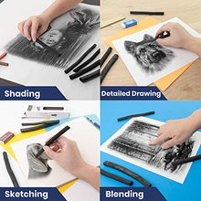 Load image into Gallery viewer, Pacific Arc Large Vine Charcoal Stick 5/Pkg, Soft, Black, Thick Willow Charcoal for Sketching and Drawing