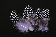Load image into Gallery viewer, Tigofly 100 pcs/lot 11 Mixed Colors Loose Guinea Pearl Hen Feather Fowl Plumage Hackles Spotted Feathers Fly Tying Materials
