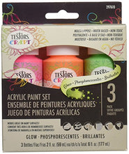 Load image into Gallery viewer, Testors Craft Acrylic Paint Kit, Multicolor