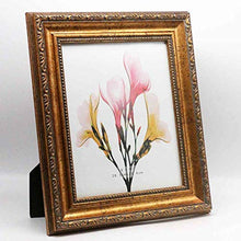 Load image into Gallery viewer, Antique gold photo frames, 8x10 , 2-Pack