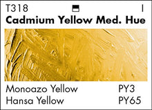 Load image into Gallery viewer, Grumbacher Academy Oil Paint, 24ml/0.81 oz Tube, 10-Color Set
