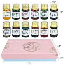 Load image into Gallery viewer, Calligraphy Ink Set, 12 Colors Dipped Pen Inks Gold Powder Non-Carbon Drawing Ink, Calligraphy Fountain Pen Inks for Writing, Art, Gift, Craft Calligrapher Inks Kit - (7ml,12 Colors)