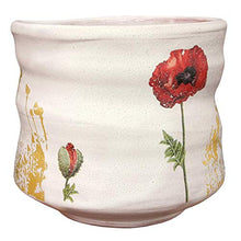 Load image into Gallery viewer, AMACO Lead-Free Low-Fire LM Series Matte Glaze - Pint - LM-11 Opaque White - 9701472 C