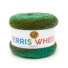 Load image into Gallery viewer, Lion Brand Yarn Ferris Wheel Yarn, Evergreen