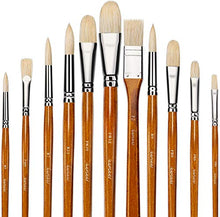 Load image into Gallery viewer, Fuumuui 11pcs Professional Paint Brush Set, 100% Natural Chungking Hog Bristle Artist Brushes for Acrylic and Oils Painting with a Free Carrying Box