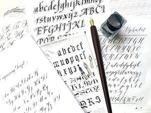 Load image into Gallery viewer, Plotube Calligraphy Pen Set – Includes Wooden Dip Pen, Antique Brass Holder, 11 Nibs, 7 Ink Bottle and Beginner's Manual (7 colors)