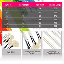 Load image into Gallery viewer, Amagic Fan Brush Set - Hog Bristle Natural Hair - Artist Soft Anti-Shedding Paint Brushes for Acrylic Watercolor Oil Painting, Long Wood Handle with Case, Set of 6