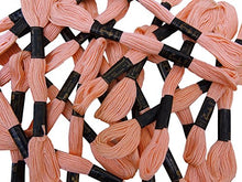 Load image into Gallery viewer, Anchor Cross Stitch Hand Embroidery Stranded Cotton Floss Thread 25 Skeins-Light Peach