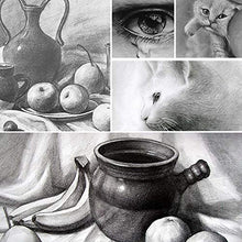 Load image into Gallery viewer, MyLifeUNIT Vine Charcoal Sticks, Willow Sketch Charcoal Pencils for Drawing, Pack of 25 (7-9 MM Dia)