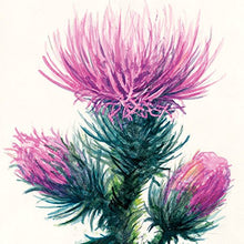 Load image into Gallery viewer, Strathmore 400 Series Watercolor Block, Cold Press, 9"x12" Bound (4 sides), 15 Sheets/Block