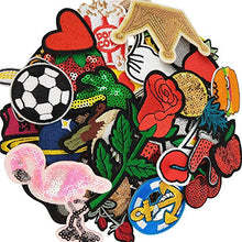 Load image into Gallery viewer, Libiline 50pcs Random Assorted Styles Embroidered Patch Sew On/Iron On Patch Applique Clothes Dress Plant Hat Jeans Sewing Flowers Applique DIY Accessory (Assorted-Style 5)