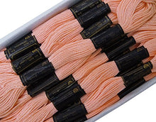 Load image into Gallery viewer, Anchor Cross Stitch Hand Embroidery Stranded Cotton Floss Thread 25 Skeins-Light Peach