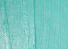 Load image into Gallery viewer, Liquitex Professional Gloss Varnish, 8-oz