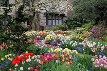 Load image into Gallery viewer, Youghiogheny English Gardens Glass Pack