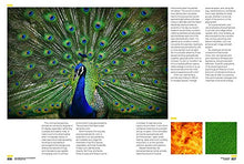 Load image into Gallery viewer, The Complete Color Harmony, Pantone Edition: Expert Color Information for Professional Results