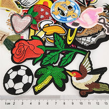 Load image into Gallery viewer, Libiline 50pcs Random Assorted Styles Embroidered Patch Sew On/Iron On Patch Applique Clothes Dress Plant Hat Jeans Sewing Flowers Applique DIY Accessory (Assorted-Style 5)