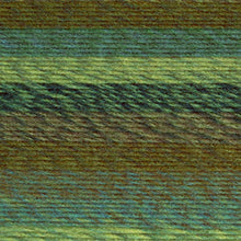 Load image into Gallery viewer, Lion Brand Yarn Ferris Wheel Yarn, Evergreen