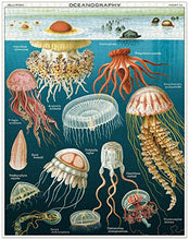 Load image into Gallery viewer, Cavallini Papers & Co. Jelly Fish 1,000 Piece Puzzle, Multi