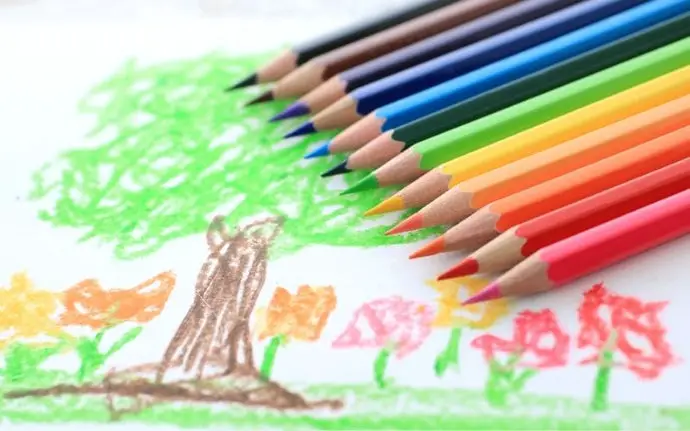 A Beginner's Guide To Drawing With Colored Pencils