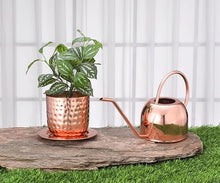 Load image into Gallery viewer, Glytterati- Decorative Watering Can and Planter with Plate
