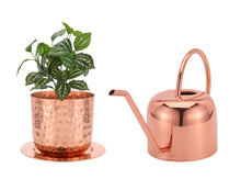 Load image into Gallery viewer, Glytterati - Decorative Watering Can and Planter with Plate
