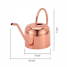 Load image into Gallery viewer, Glytterati - Decorative Watering Can and Planter with Plate
