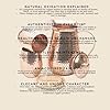 Load image into Gallery viewer, Kitchen Science Pure Copper Pitcher (70 oz. /2000 ml) with Copper Tumblers | Large Copper Water Pitcher for Drinking Water | Copper Vase | Copper Jug | Water Jug Set
