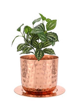 Load image into Gallery viewer, Glytterati- Decorative Watering Can and Planter with Plate
