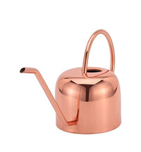 Load image into Gallery viewer, Glytterati - Decorative Watering Can and Planter with Plate
