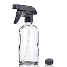 Load image into Gallery viewer, Glass Spray Bottle, Niuta 16 OZ Clear Glass Empty Spray Bottles with Labels for Plants, Pets, Essential Oils, Cleaning Products - Black Trigger Sprayer w/Mist and Stream Settings
