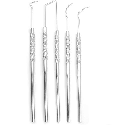 Scientific Labwares 5-Piece Stainless Steel Precision Probe, Pick and Hook Set: Dissection, Clay and Wax Modeling, Sewing, Precision Work and More!